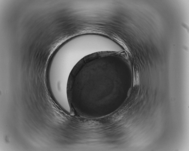 X0000096470387200802141703