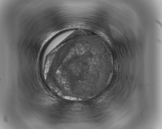 X0000096470388200802141703