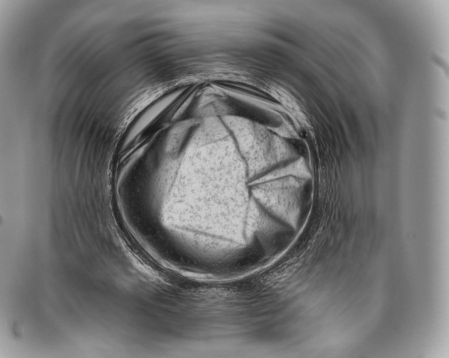 X0000096470389200802141703