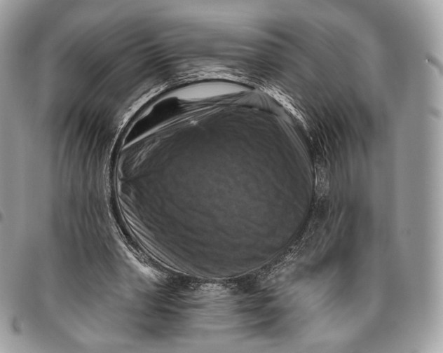 X0000096470390200802141703