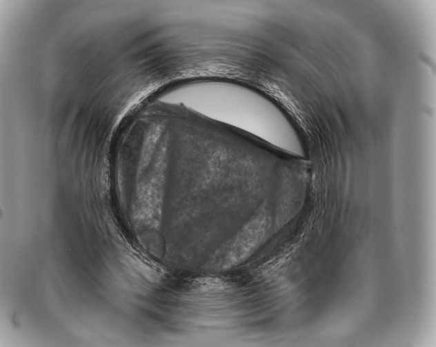 X0000096470392200802141703