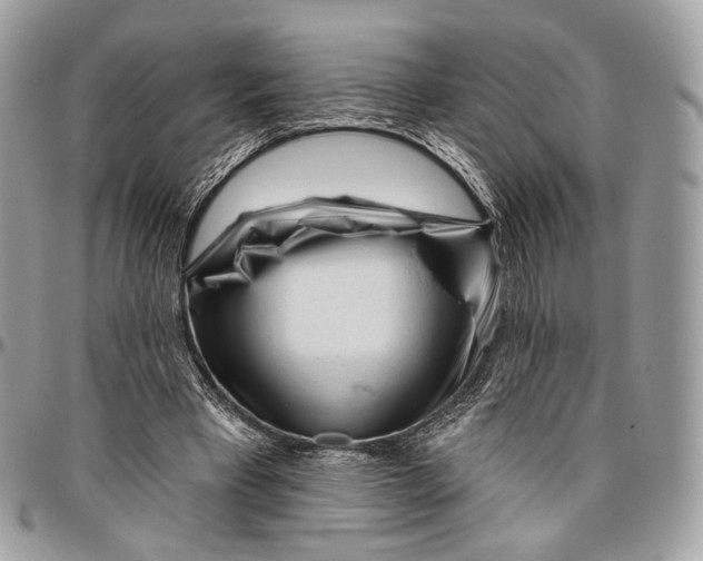 X0000096470393200802141703