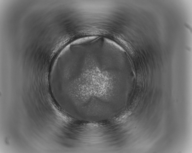 X0000096470394200802141703