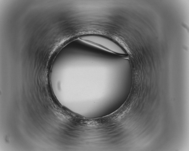 X0000096470395200802141703