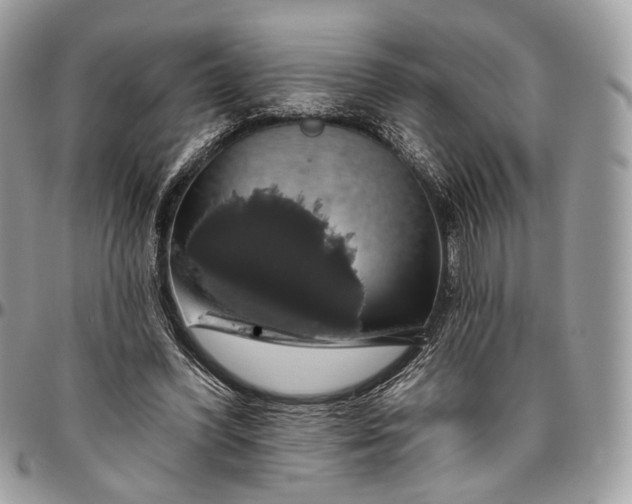 X0000096470396200802141703