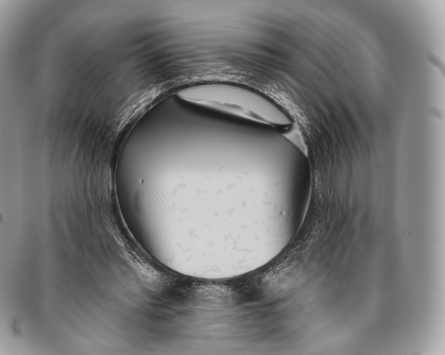 X0000096470397200802141703