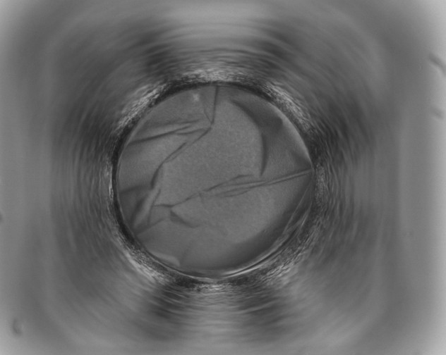 X0000096470398200802141703