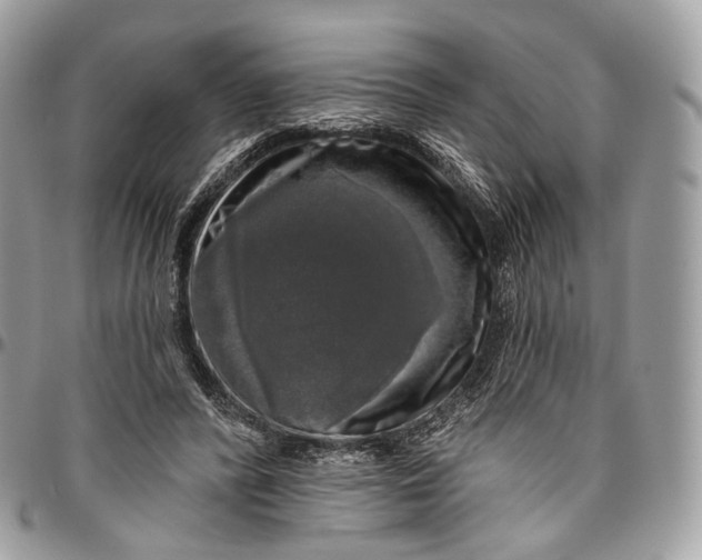 X0000096470400200802141703