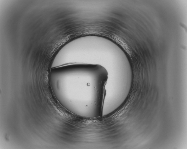 X0000096470401200802141703