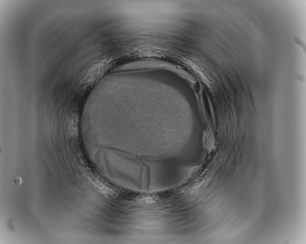 X0000096470402200802141703