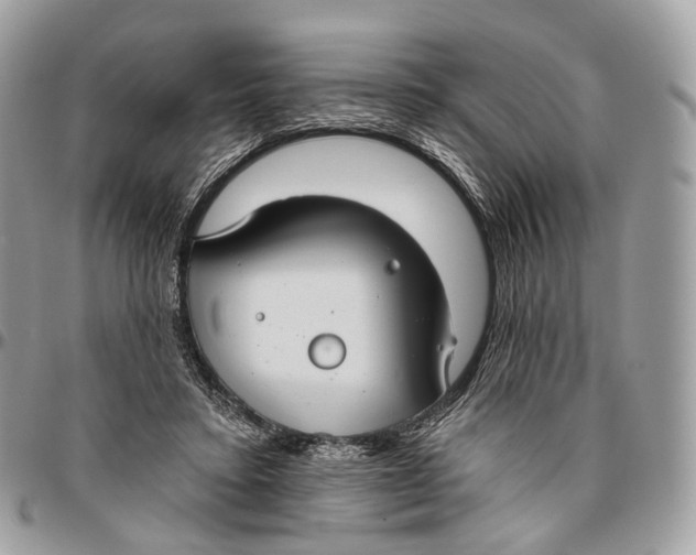 X0000096470403200802141703