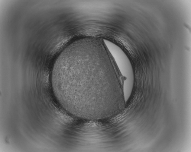 X0000096470404200802141703