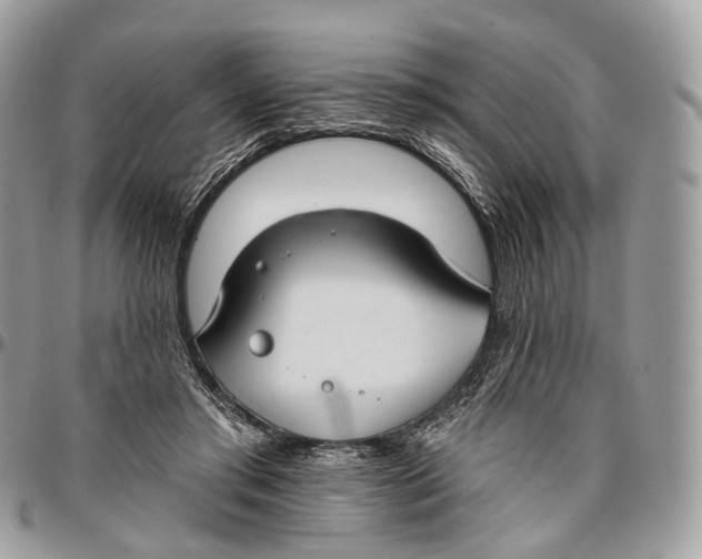 X0000096470405200802141703