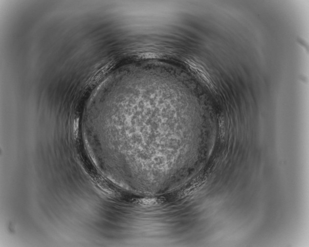 X0000096470406200802141703