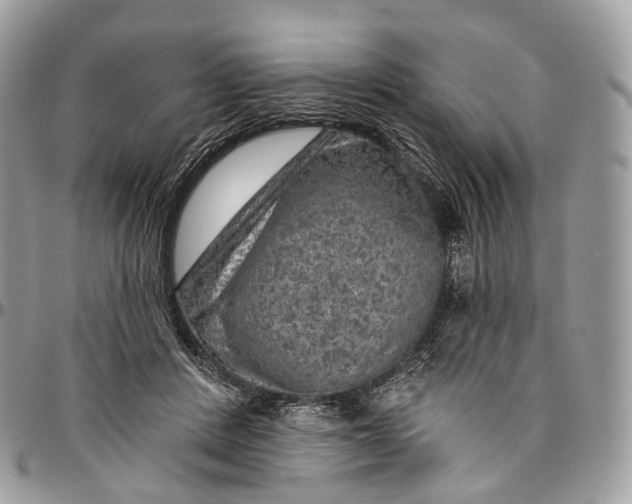 X0000096470408200802141703