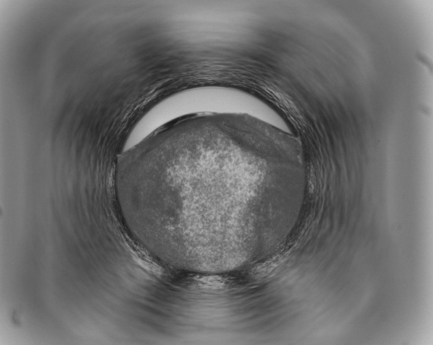 X0000096470409200802141703