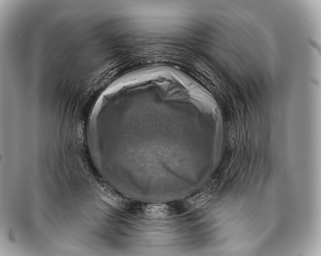 X0000096470410200802141703