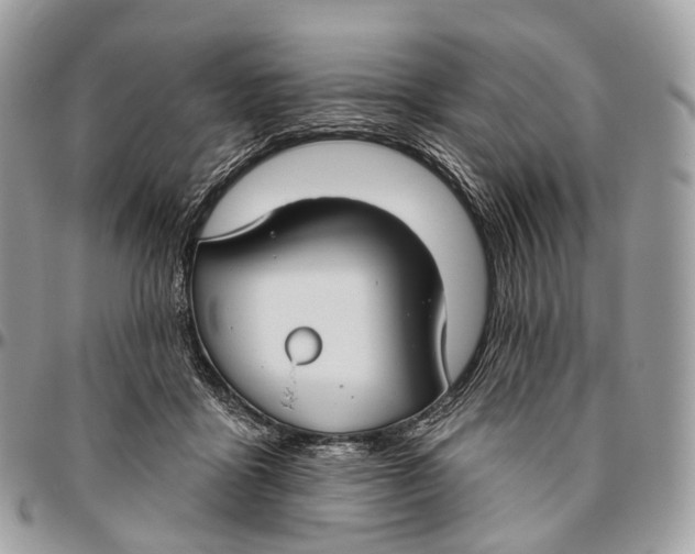 X0000096470411200802141703