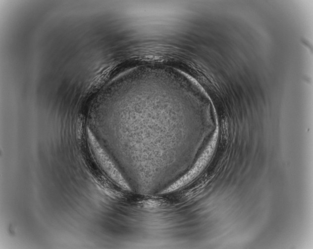 X0000096470412200802141702