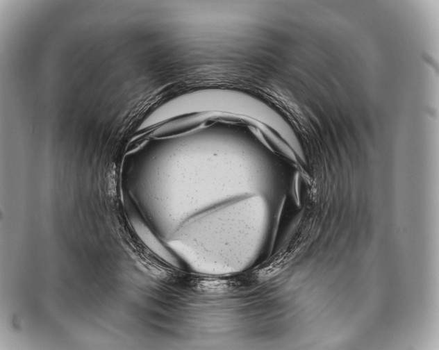 X0000096470413200802141702