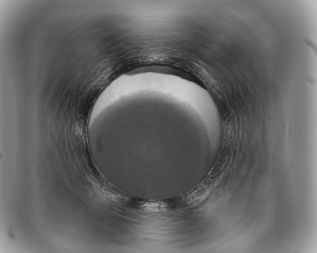 X0000096470415200802141702