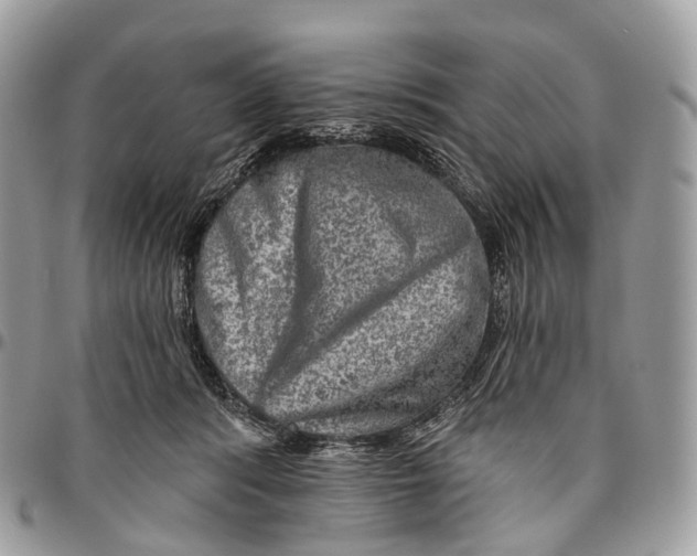 X0000096470416200802141702