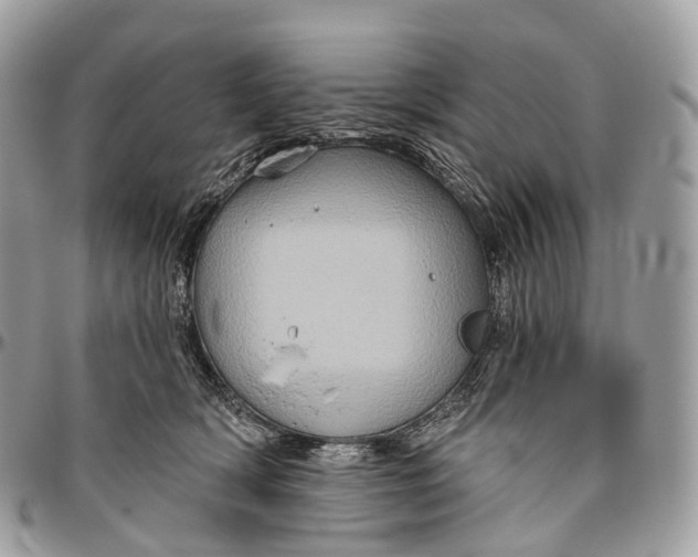 X0000096470418200802141702