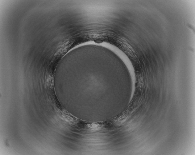 X0000096470419200802141702