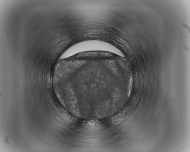 X0000096470420200802141702