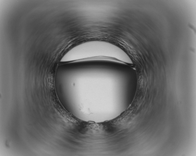 X0000096470421200802141702