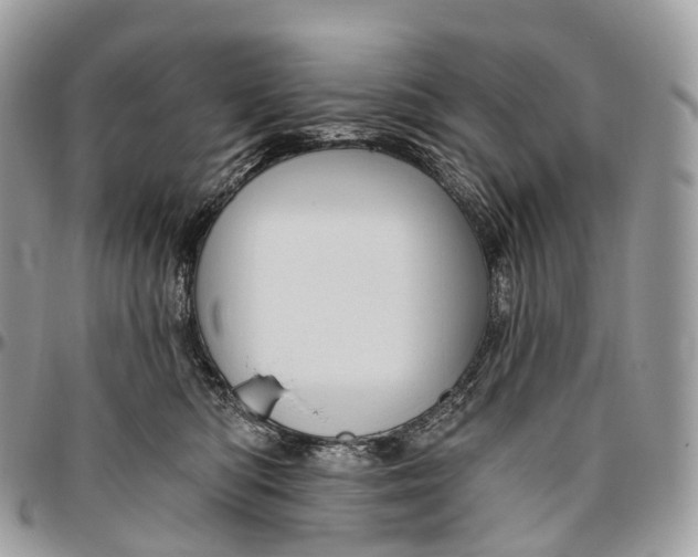 X0000096470422200802141702