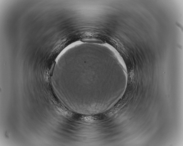 X0000096470423200802141702