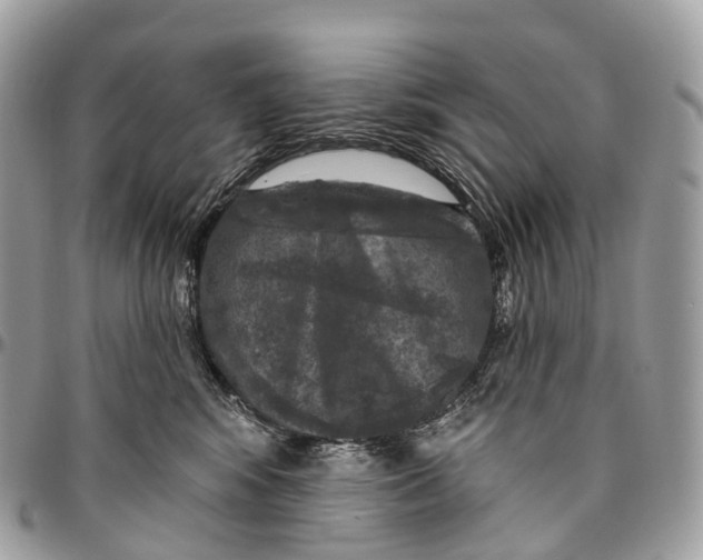 X0000096470424200802141702