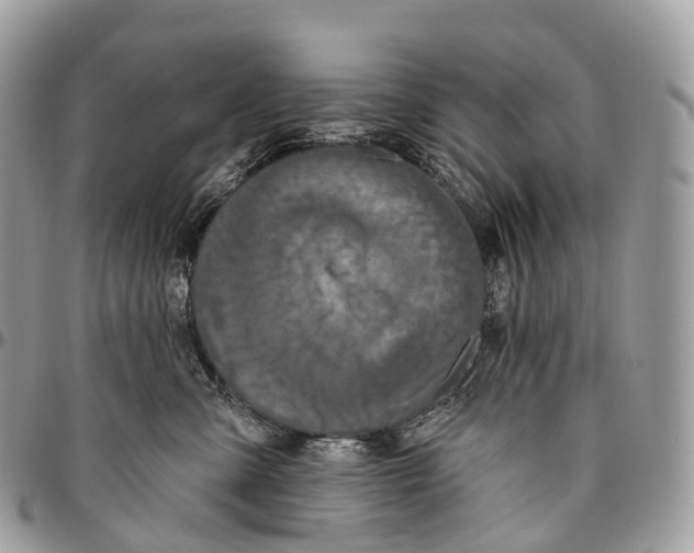 X0000096470427200802141702