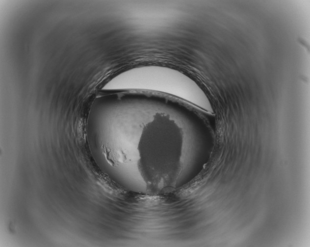 X0000096470428200802141702