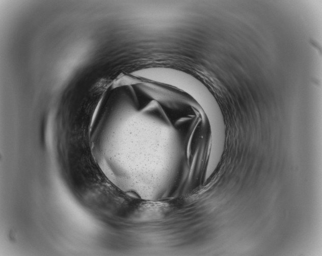 X0000096470429200802141702