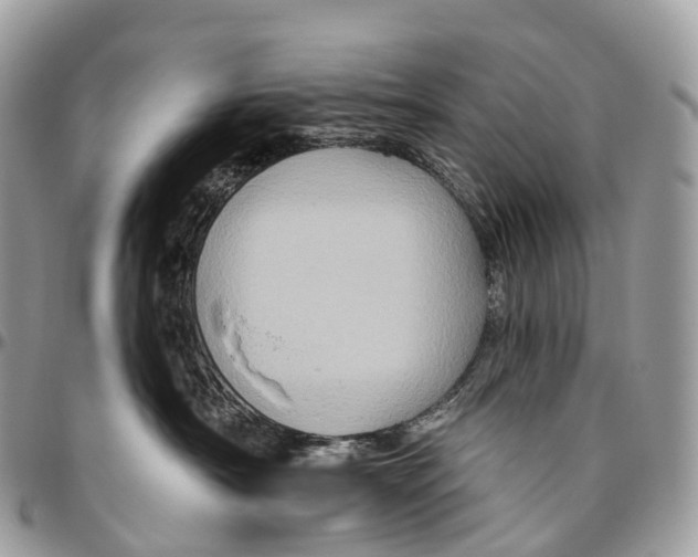 X0000096470430200802141702