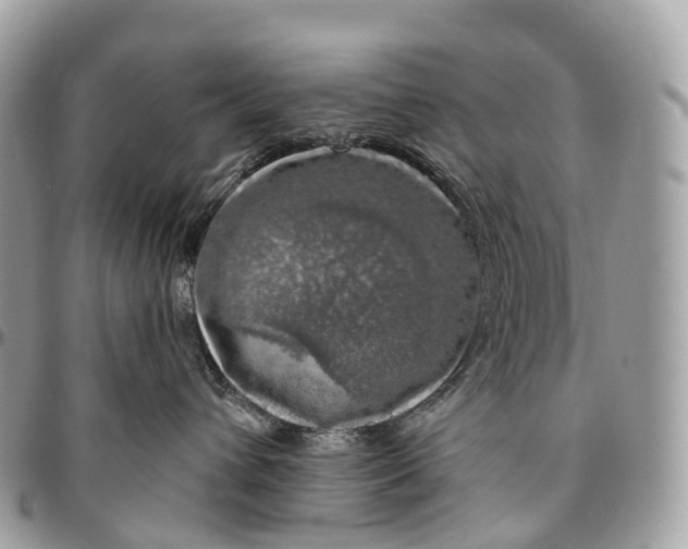 X0000096470432200802141702