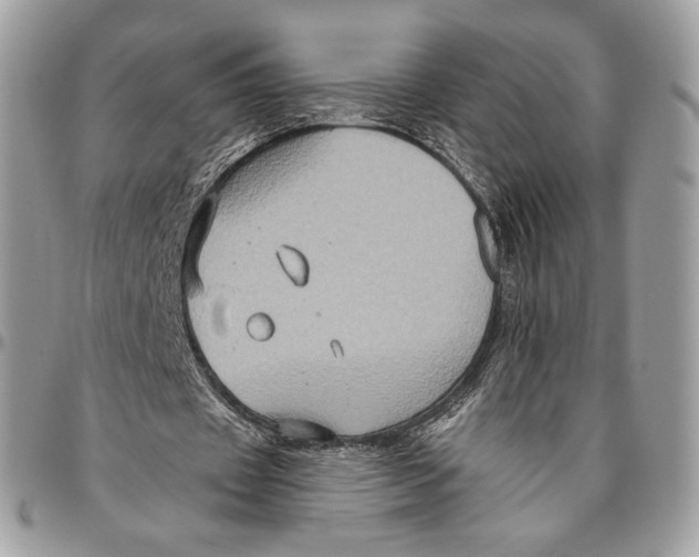 X0000096470433200802141702