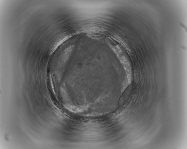 X0000096470434200802141702