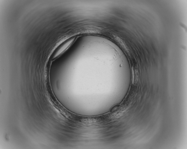 X0000096470435200802141702