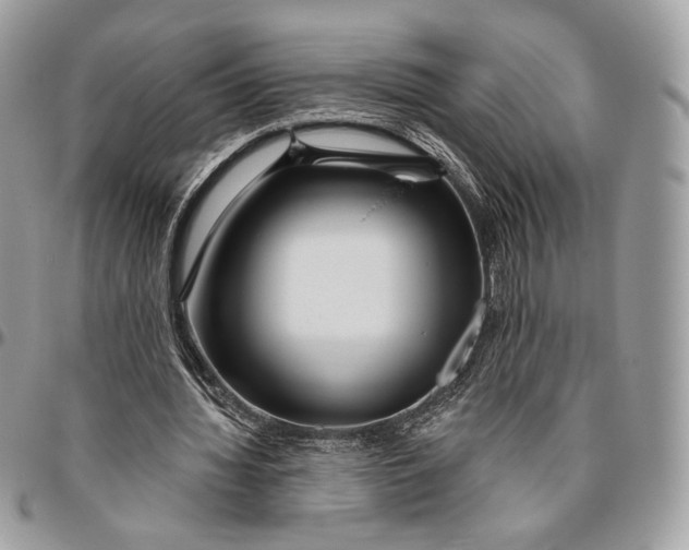 X0000096470436200802141702