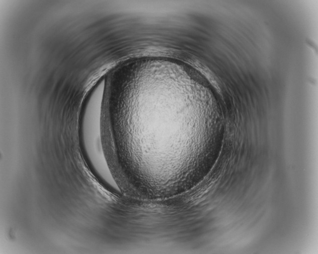 X0000096470437200802141702