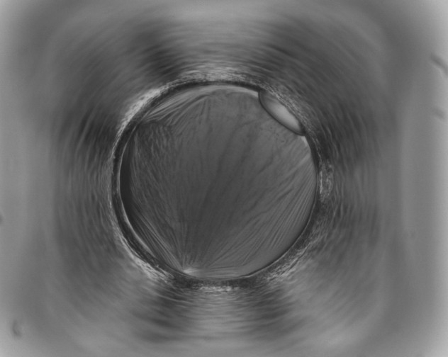 X0000096470438200802141702