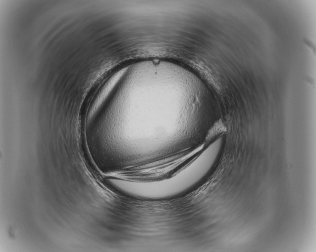 X0000096470439200802141702