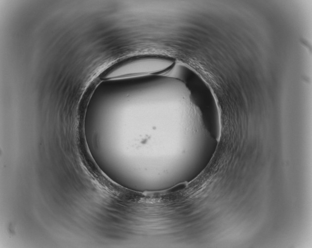 X0000096470440200802141702