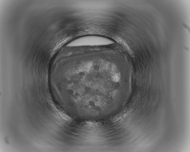 X0000096470442200802141702