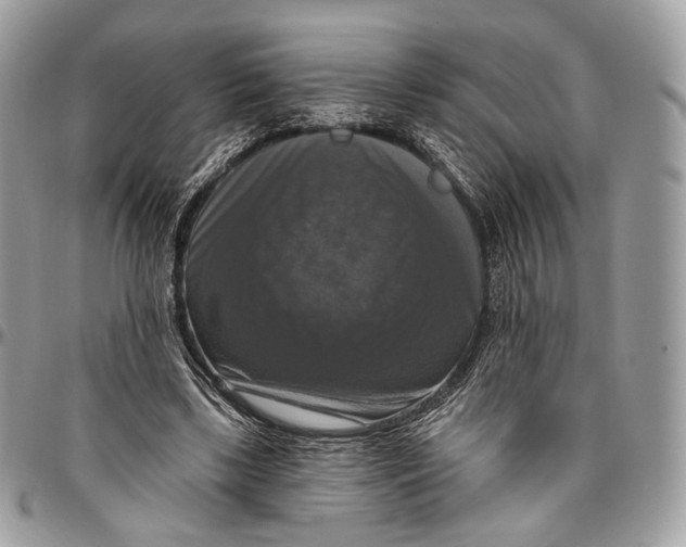 X0000096470443200802141702