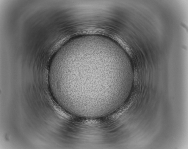 X0000096470445200802141702