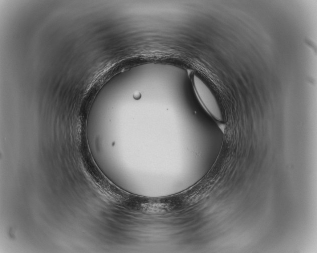 X0000096470448200802141702